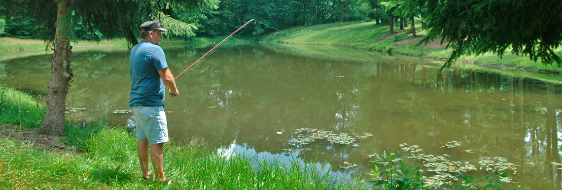 Fishing Pond